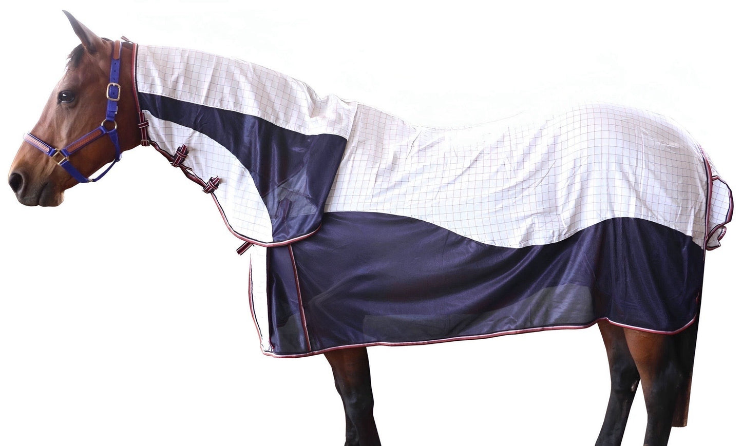 Summer Canvas Horse Blanket