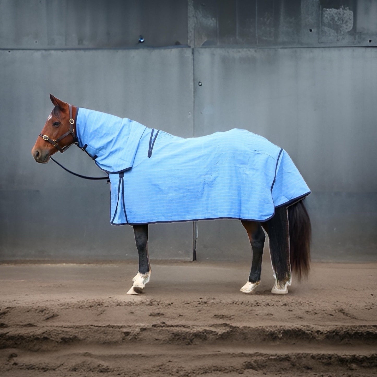 Summer Canvas Horse Blanket