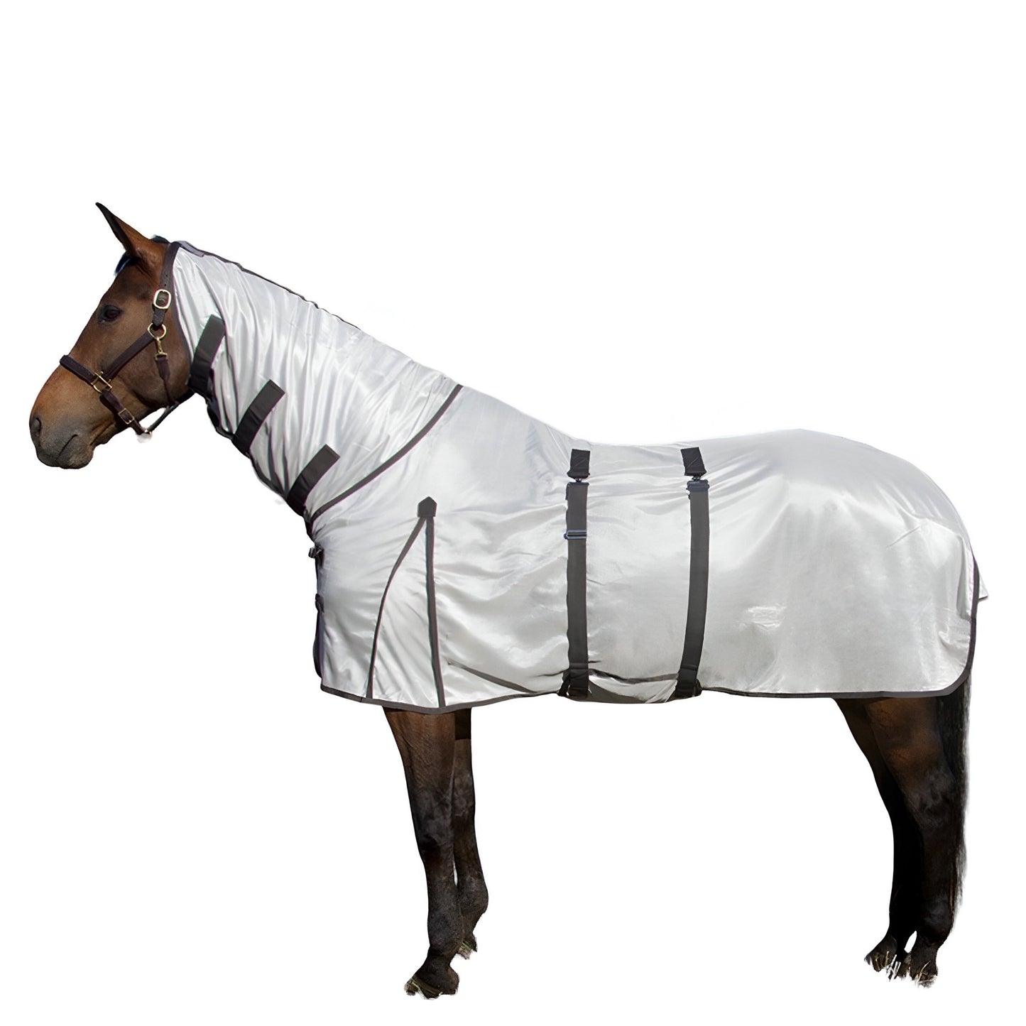 Horse Mesh Coolers & Fly sheets