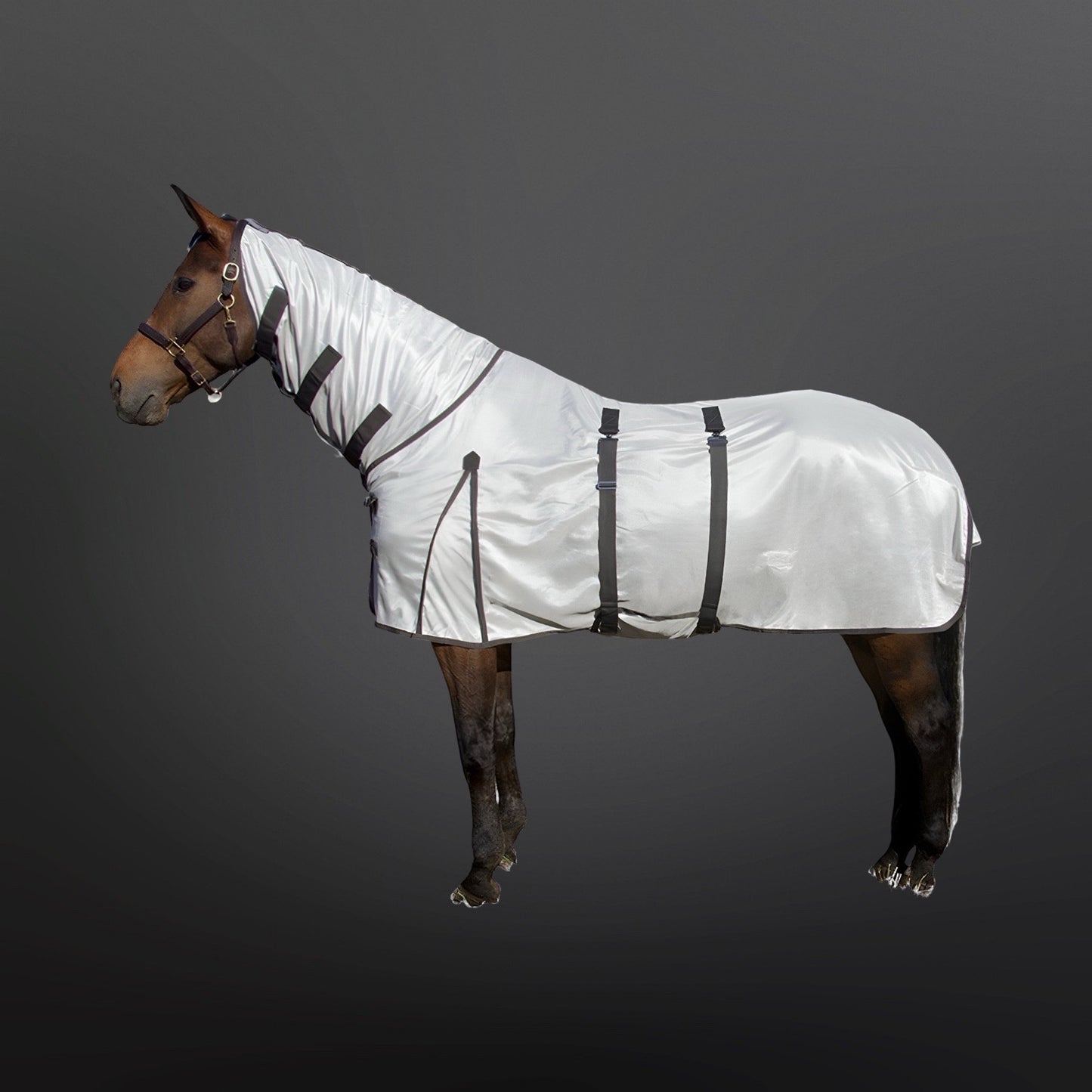 Horse Mesh Coolers & Fly sheets