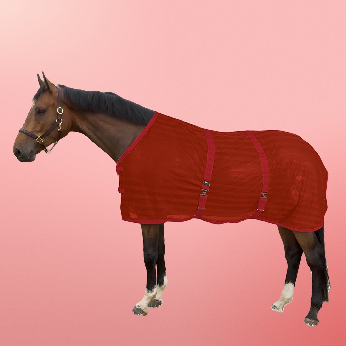 Horse Mesh Coolers & Fly sheets