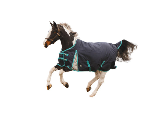 Winter Horse Blankets