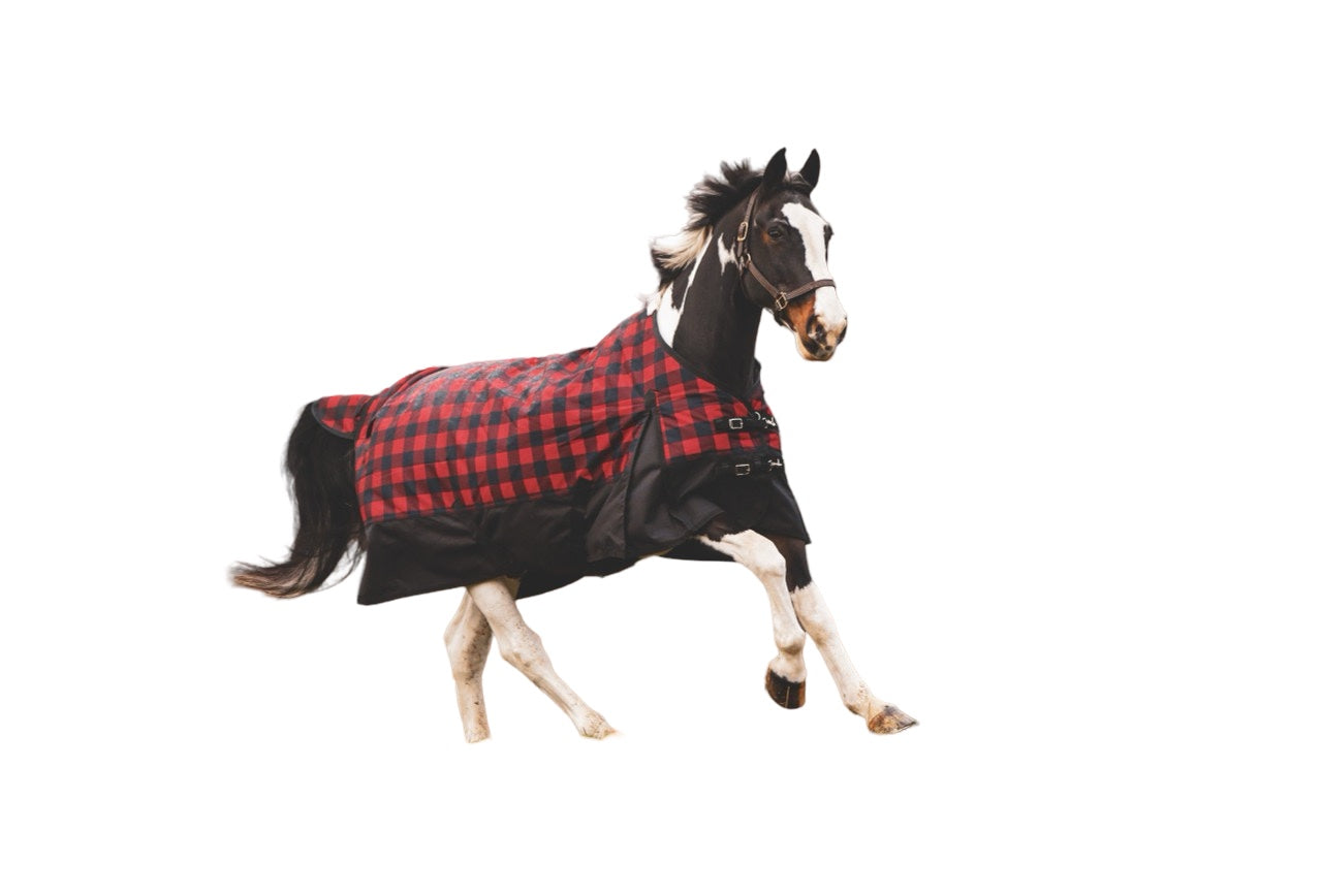 Winter Horse Blankets