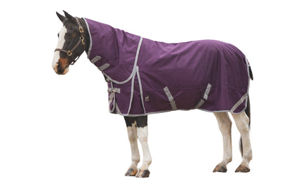 Winter Horse Blankets